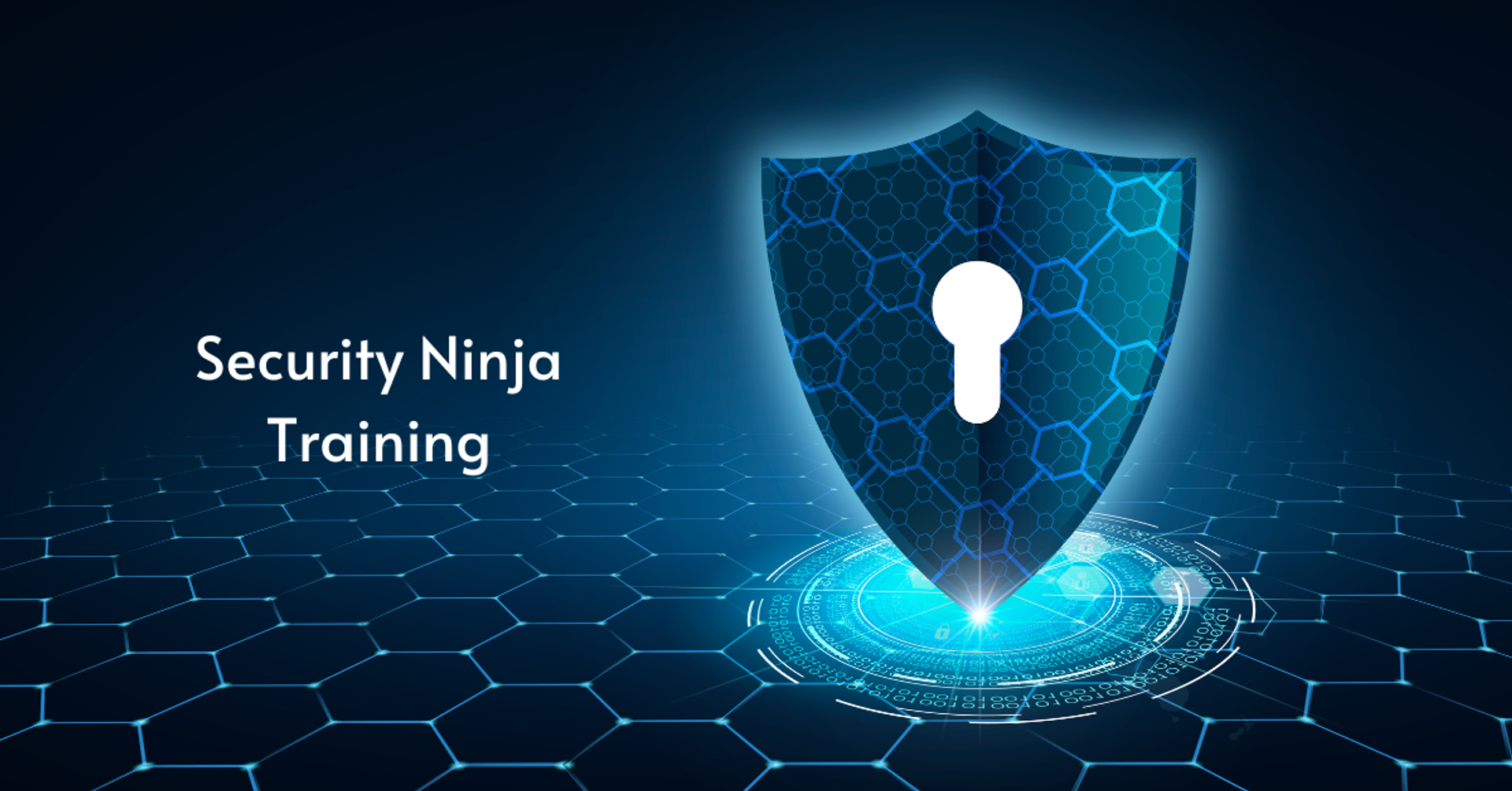 Security Ninja Training